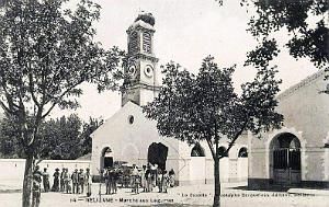 RELIZANE - MARCHE AUX LEGUMES